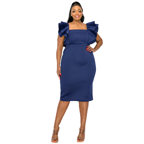 Curvy Girls Navy Dress