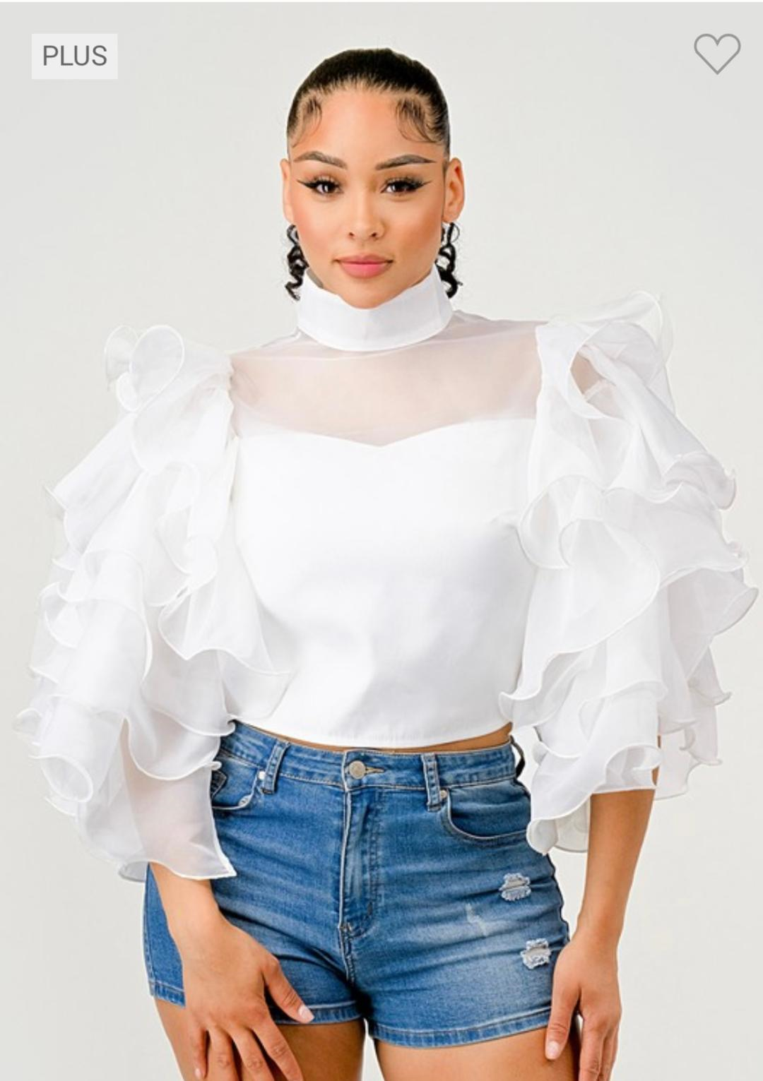 Ruffle Mesh Plus Size Blouse